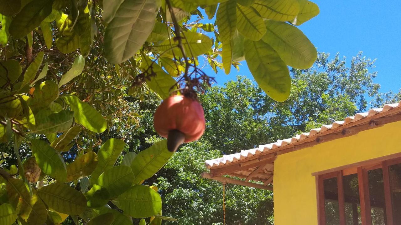 Casa Som Do Mar - Trancoso Villa Dış mekan fotoğraf